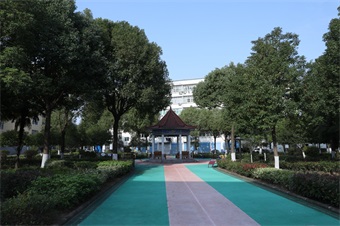 公司環境